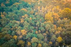 DJI_0095